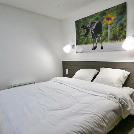 Lejlighedshotel Domaine Le Sherwood 3*